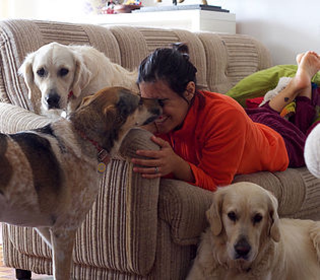 Simba, Goldy e Lexie