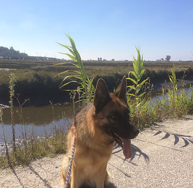 Pipa - Passeio longo