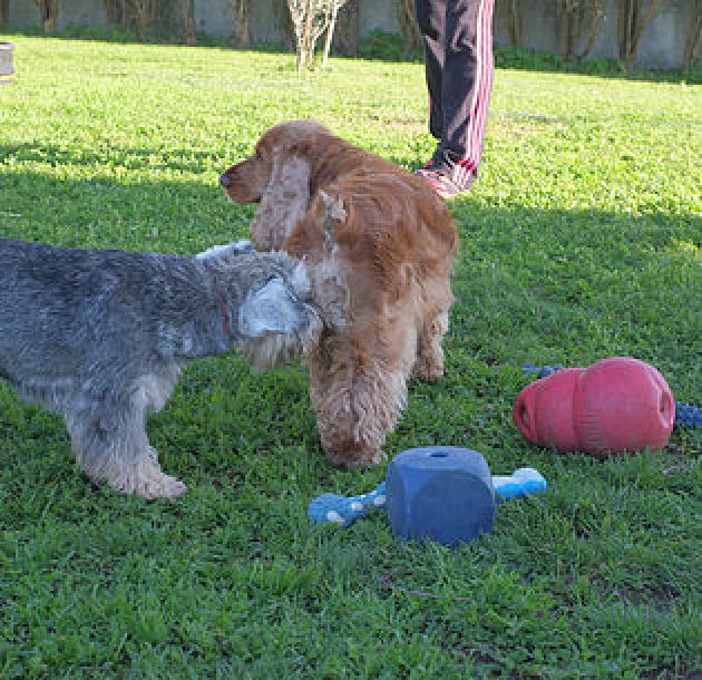 Bri e Lila
